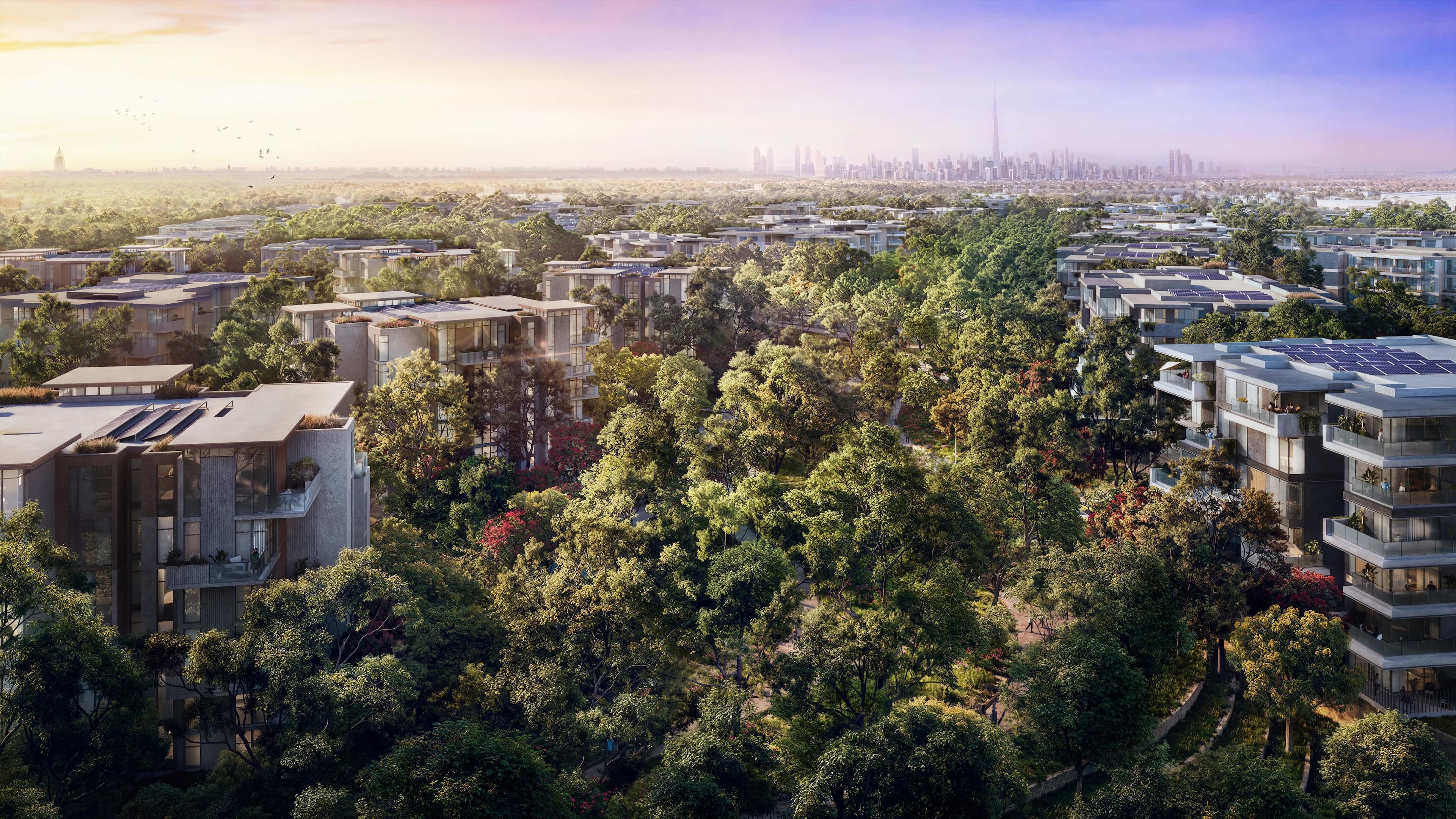 Dubai's First Forest-Living Ecosystem